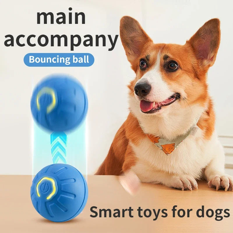 Balle Interactive Électronique pour Chien et Chat