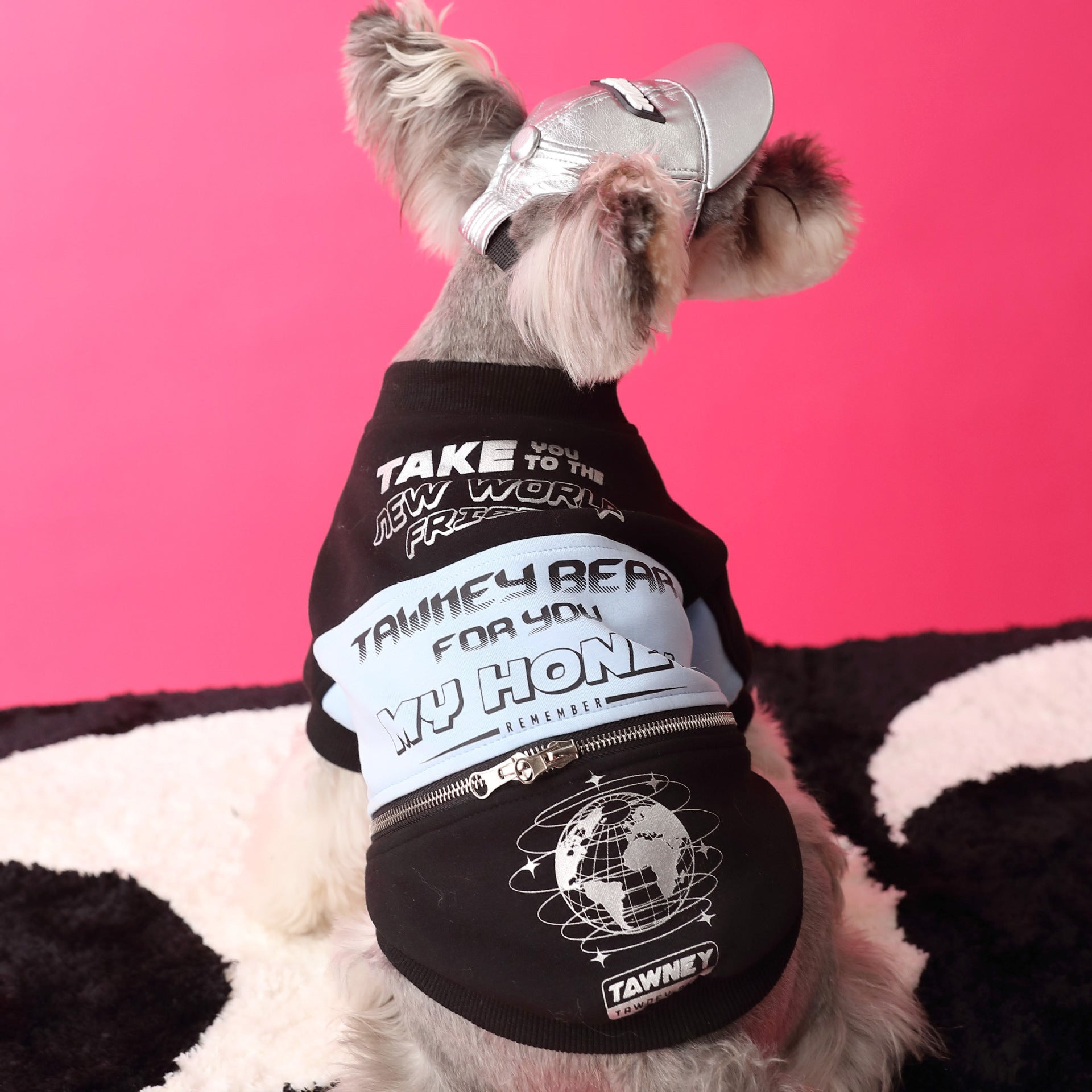 Chien portant un pull noir tendance avec des inscriptions, stylé pour un look moderne et amusant.