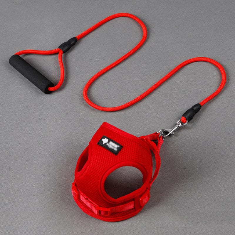 Laisse et collier pour chien en nylon rouge avec poignée en mousse, confortable et durable pour promenades.