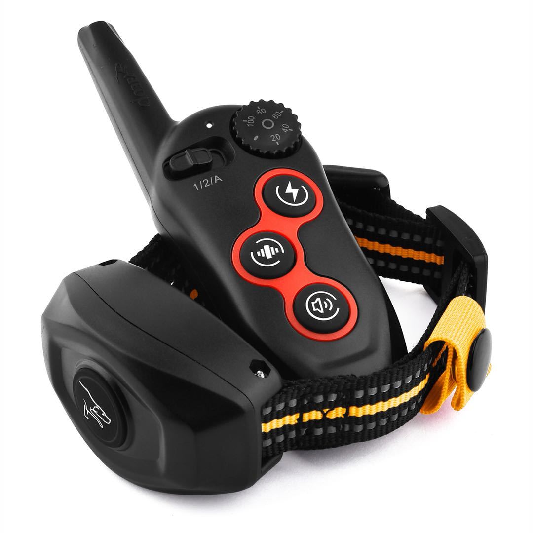 Entraîneur de chien polyvalent avec télécommande et collier, idéal pour une éducation canine efficace.