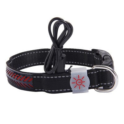 Collier LED pour chien noir, améliore la sécurité nocturne avec technologie d'éclairage et confort.