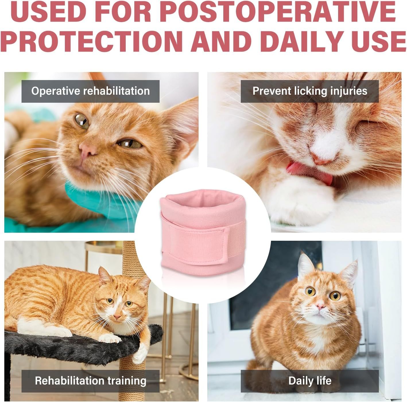 Collier de récupération pour chats et chiens, protégeant durant la réhabilitation opératoire et pour un usage quotidien.