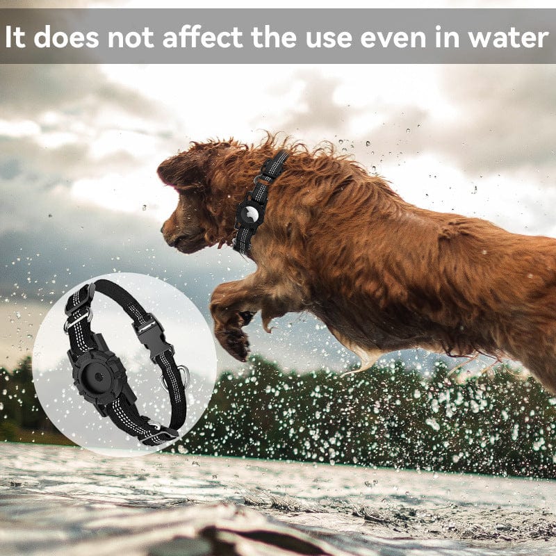 Chien sautant dans l'eau avec collier anti-perte noir, conçu pour résister à l'eau et aux intempéries.