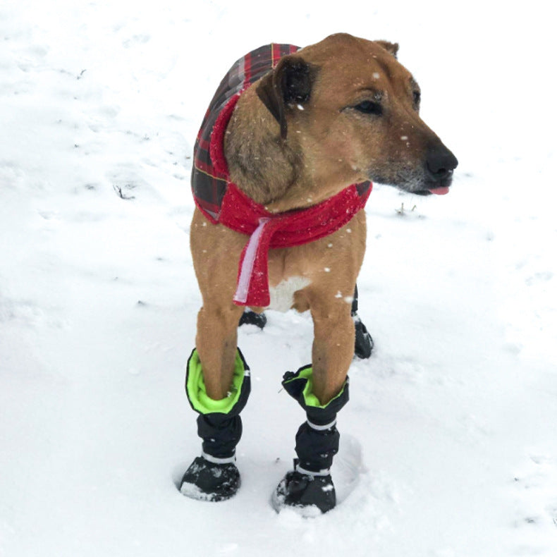 Chien portant des bottes imperméables et un manteau dans la neige, offrant style et protection.