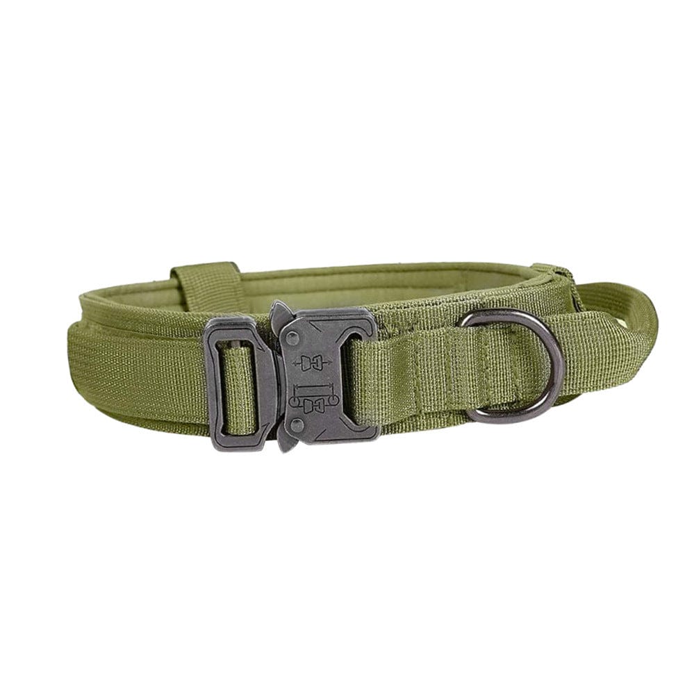 Collier tactique pour chien en nylon militaire vert, réglable et durable, idéal pour le confort et la sécurité.