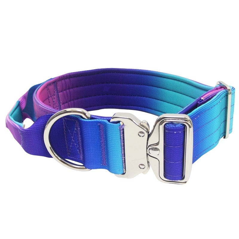 Collier dégradé large pour animaux en bleu et violet, alliant confort et style moderne.