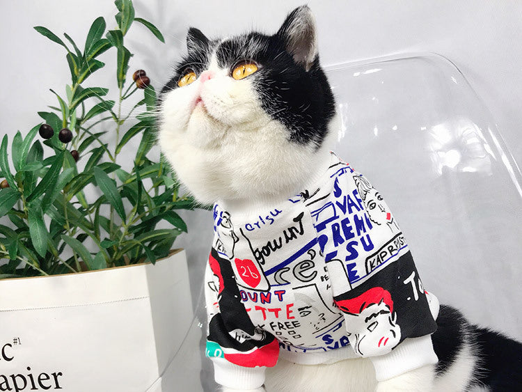 Chat portant un pull coloré avec des motifs graphiques, assis près d'une plante verte.