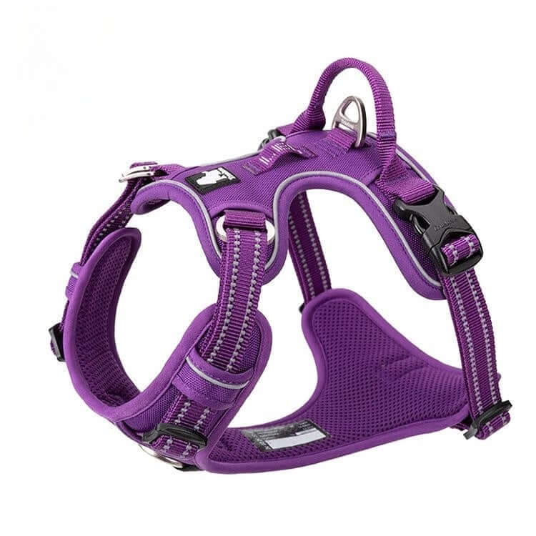Gilet de sécurité pour chien violet, durable et confortable pour des promenades sûres avec une sangle et une corde de traction.