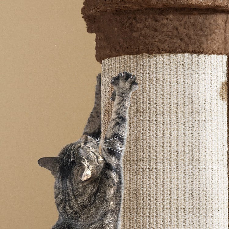 Chat grattant une planche à griffer verticale en sisal, idéale pour protéger votre canapé.