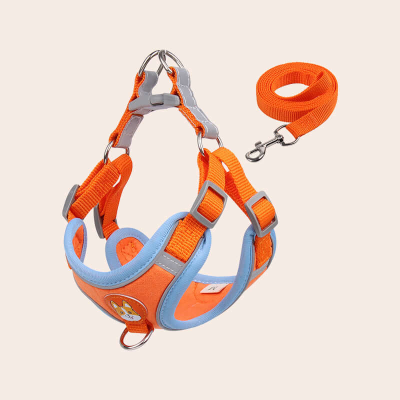 Harnais et laisse en velours orange pour chiens, conçu pour le confort et la sécurité des petits et moyens animaux.
