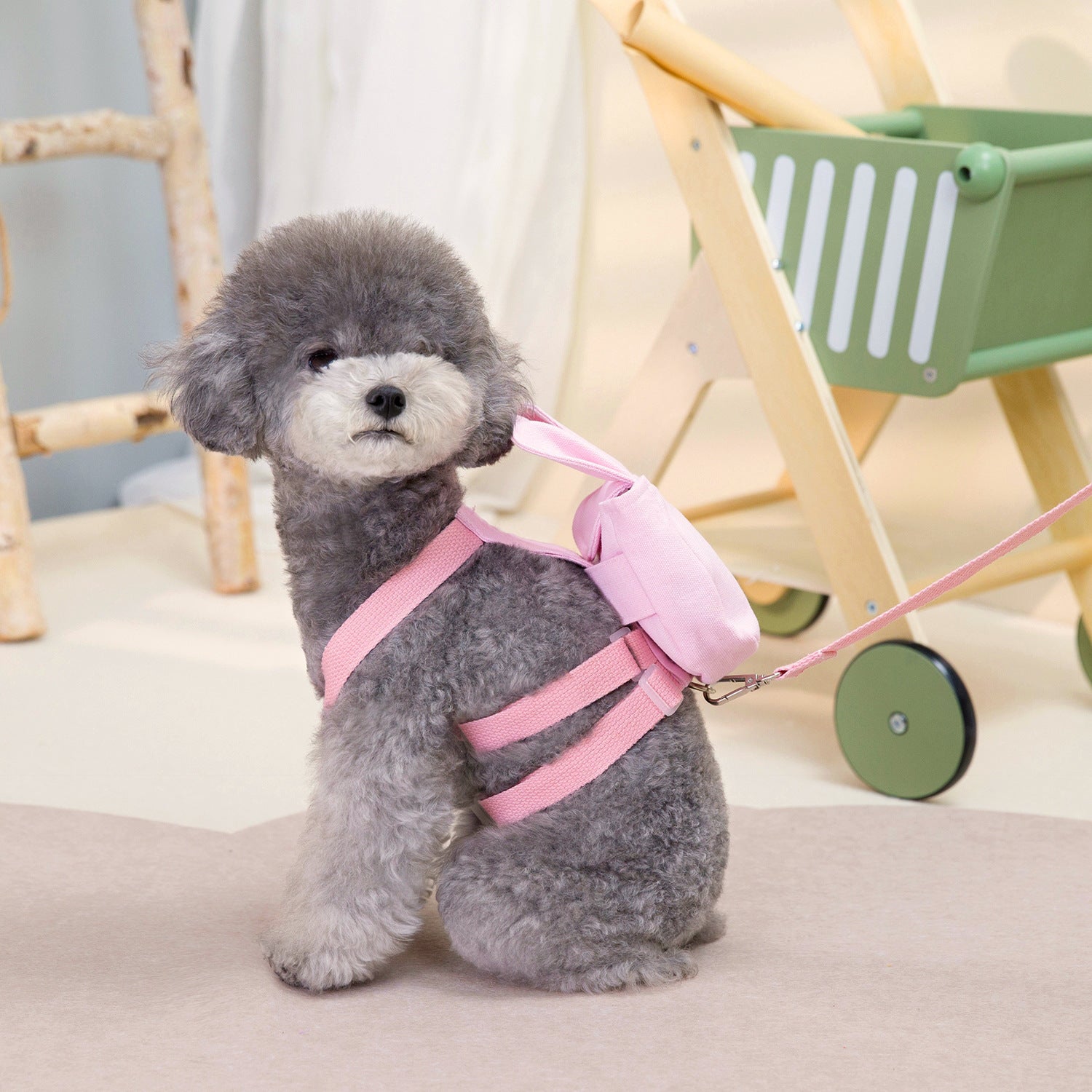 Sac à dos pour chien en rose sur un chien gris, parfait pour les aventures en plein air.