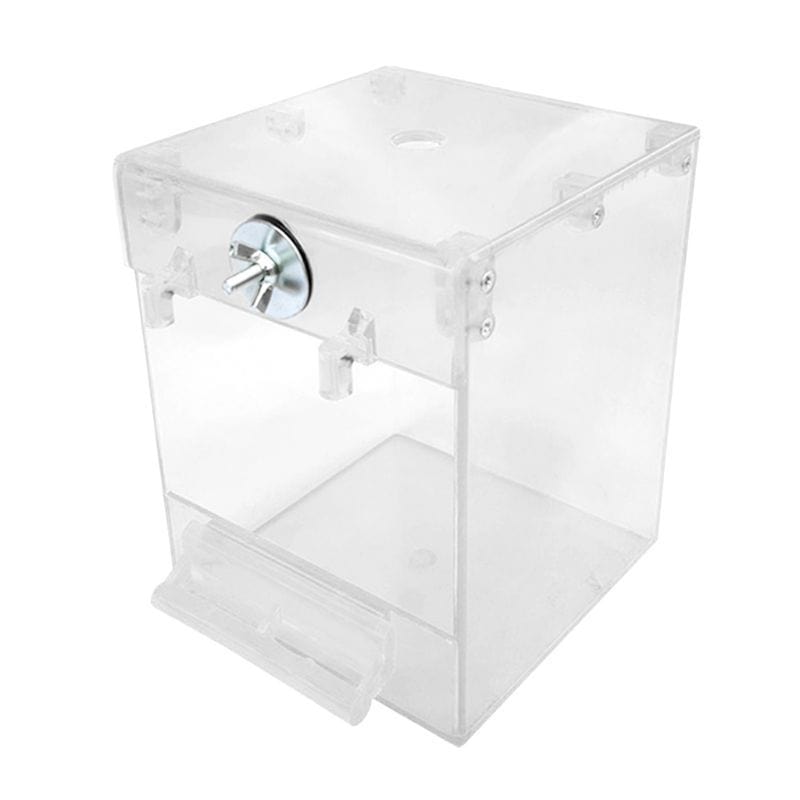 Baignoire Extérieure Transparent pour Oiseaux