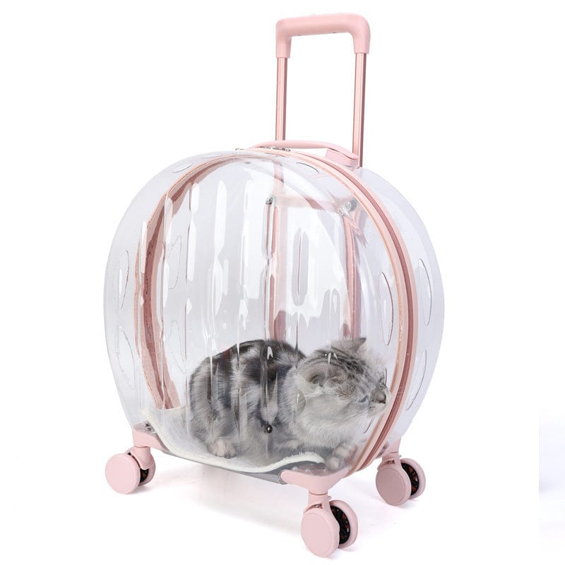 Sac à dos trolley transparent pour chats, confortable et élégant, avec un chat à l'intérieur.