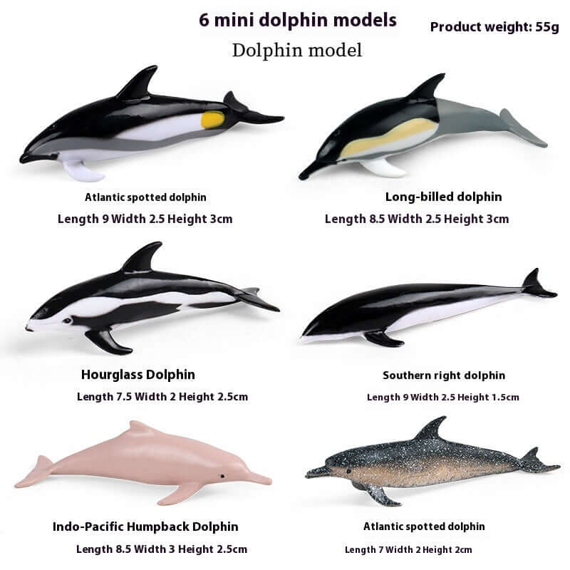 Six mini dolphin models including Atlantic, Long-billed, Hourglass, Southern right, and Indo-Pacific Humpback dolphins.