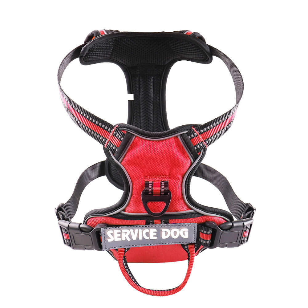 Harnais rouge pour service dog, conçu pour le confort et la sécurité des chiens.