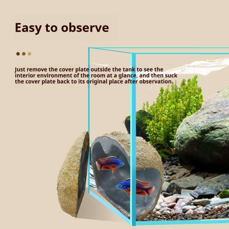 Ornements magnétiques pour aquariums, facilitant l'observation des poissons et l'environnement intérieur.