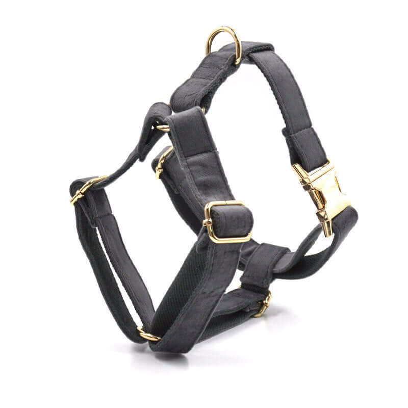 Harnais pour chien en velours gris foncé avec boucle en or, confortable et élégant pour les promenades.