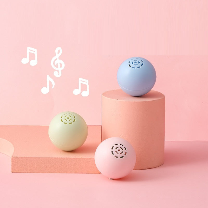 Jouet Musical Auto-Haut-Parleur pour Chats