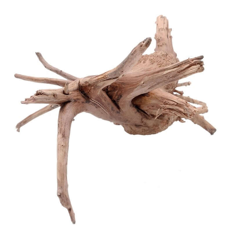 Décoration aquarium en bois imitation racine d'arbre, naturelle et authentique pour espace aquatique.