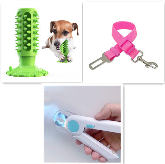 Brosse à Dents pour Chien Stick Molaire