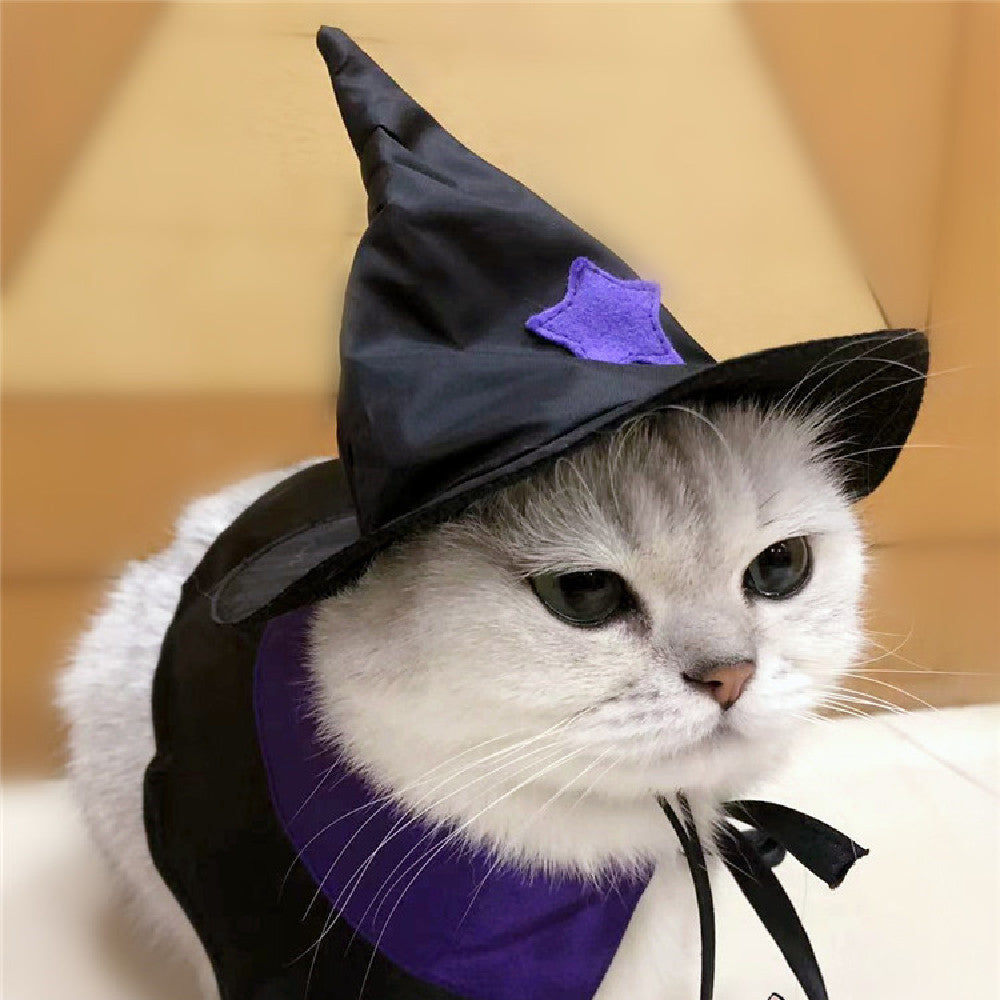 Charming black and purple wizard costume for a cat, perfect for Halloween celebrations.