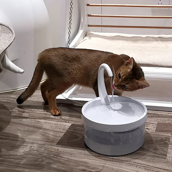 Chat buvant de l'eau dans une fontaine à eau automatique moderne pour animaux, favorisant l'hydratation.
