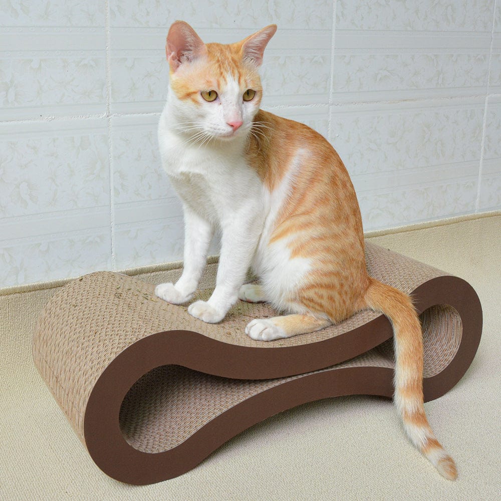 Chat assis sur une planche à gratter en carton ondulé, offrant confort et style tout en préservant vos meubles.