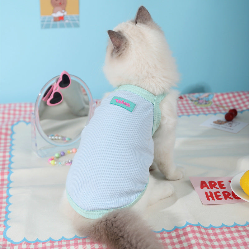Chat portant un gilet d'été léger bleu, parfait pour garder votre animal au frais pendant l'été.