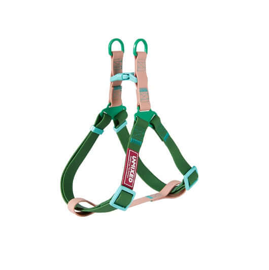 Harnais de sécurité pour chien en PVC résistant, de couleur verte et beige, taille ajustable pour confort.