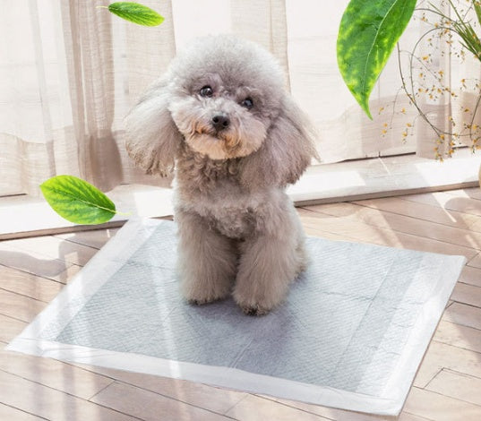 Couches pour Animaux de Compagnie
