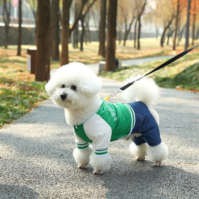 Chien en pull à la mode vert et jeans, se promenant dans un parc en automne.