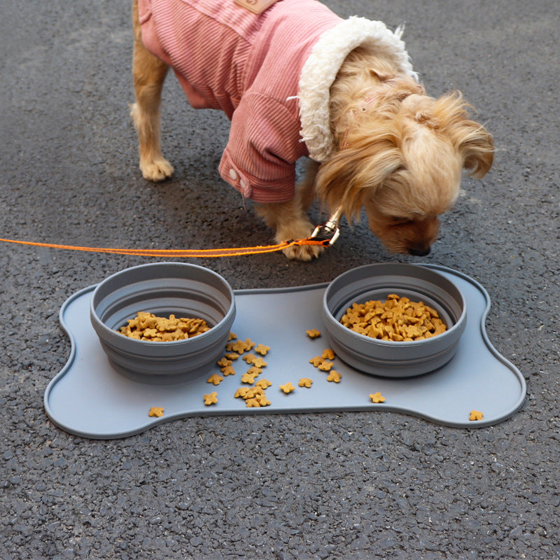 Bol pour animaux en silicone