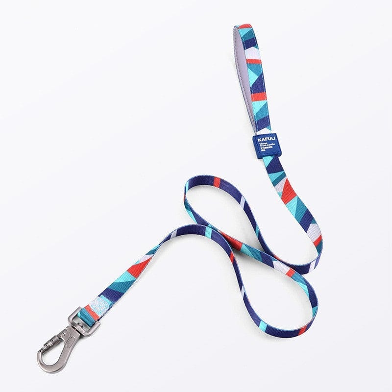 Colorful geometric pattern dog leash with durable clip, perfect for outdoor adventures.
