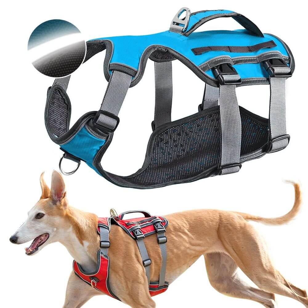 Harnais de sécurité pour chien avec sangle réglable, offrant confort et soutien pendant les promenades.