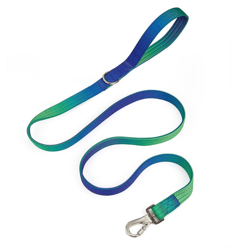 Collier dégradé large pour animaux en vert et bleu, style tendance et confort pour chiens et chats.