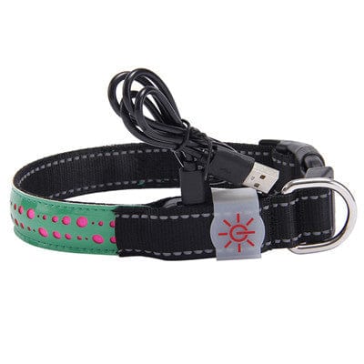 Collier LED pour chien vert avec câble USB pour rechargement, sécurité et visibilité nocturne.
