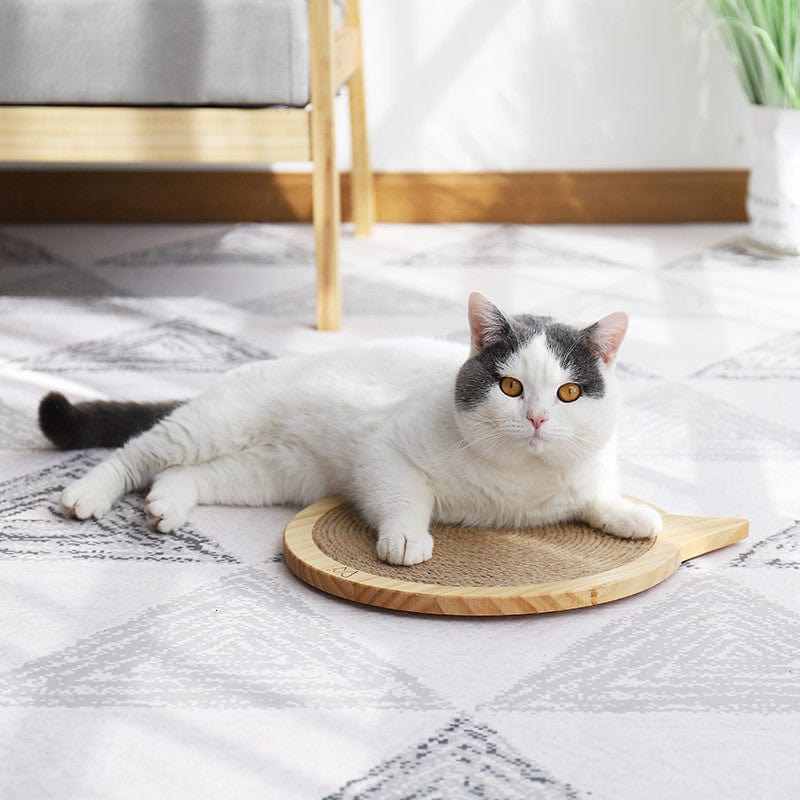 Chat posé sur une planche à gratter en bois, accessoire idéal pour le bien-être des félins.