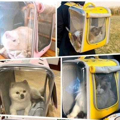 Sac à dos portable pour chat, pratique et élégant, disponible en plusieurs couleurs, idéal pour transporter vos animaux.