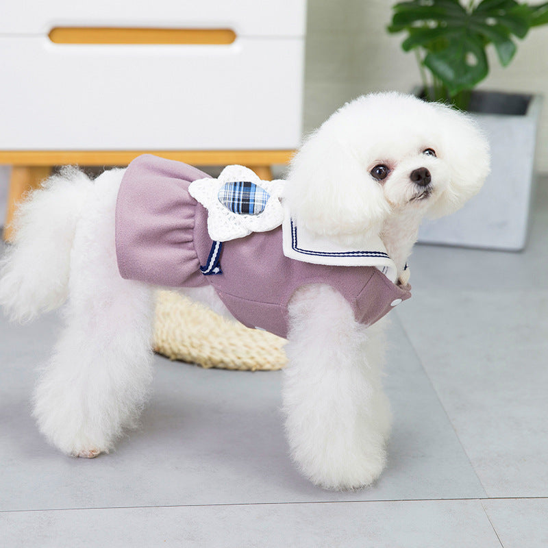 Chien en jupe à fleurs rose, look élégant pour animaux, idéal avec collier et accessoires pour chien.
