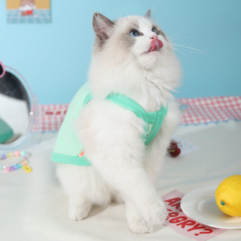 Gilet Été Minou mint pour chat, léger et stylé, parfait pour l'été et le confort des animaux.