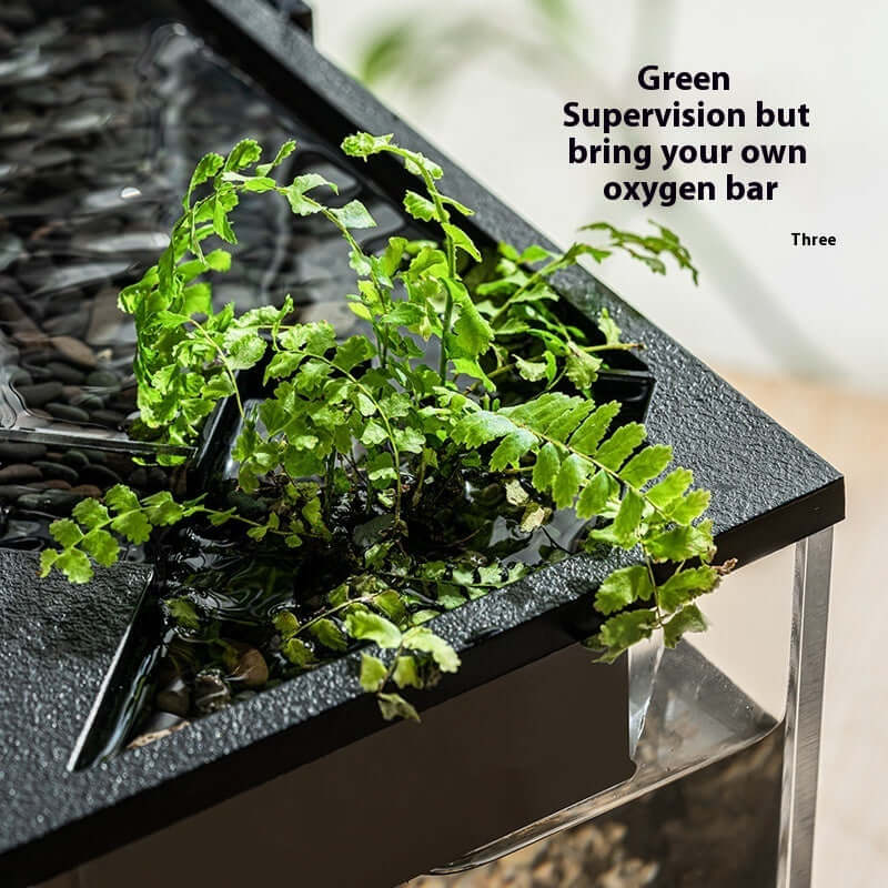 Aquarium intégré en acrylique avec plantes aquatiques et design moderne pour un espace élégant.