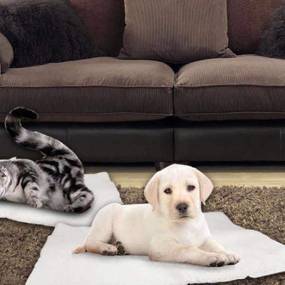 Couverture Auto-Chauffante pour Chien et Chat