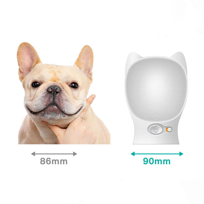 Chien heureux à côté d'un miroir portable pour animaux, idéal pour le toilettage et l'auto-entretien.