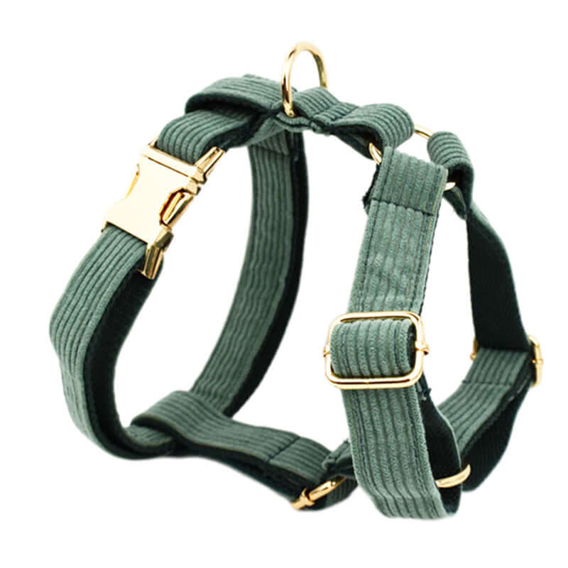 Harnais de sécurité pour chien en velours vert avec boucles dorées, élégant et confortable.