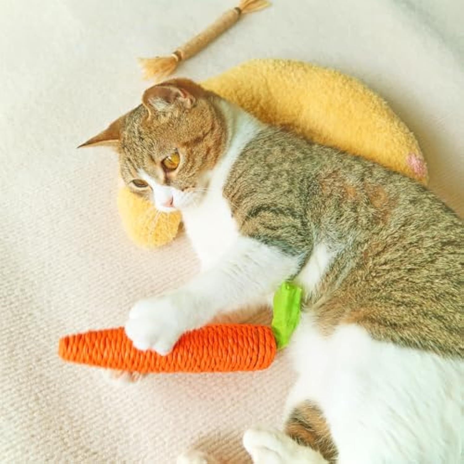 Coussin Doux pour Chats - Idéal pour le Sommeil et la Détente