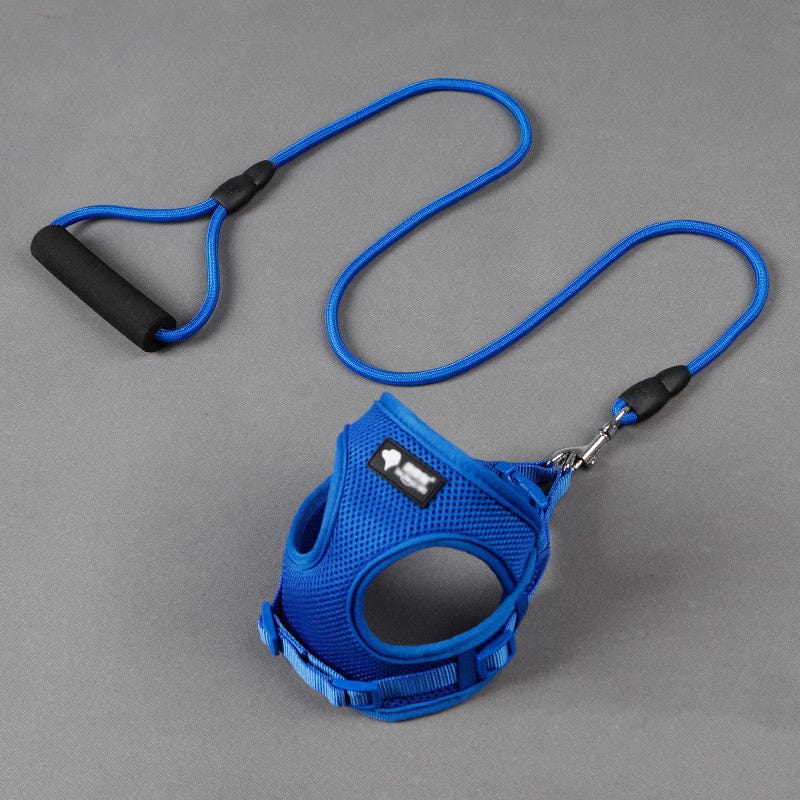 Collier et laisse pour chien en nylon bleu, confortable et robuste, avec poignée en mousse.