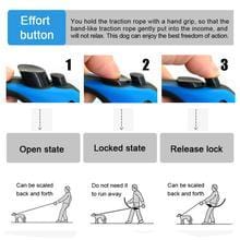 Instructions for using an automatic retractable dog leash showing open, locked, and release states.