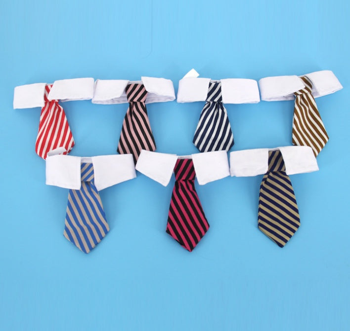 Nœuds papillon colorés pour chiens avec col blanc sur fond bleu, style élégant pour animaux.