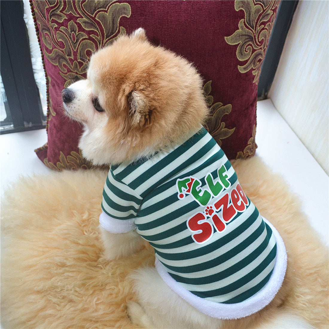 Chien portant une robe de Noël rayée verte et blanche avec inscription 'Elf Size', sur un coussin moelleux.