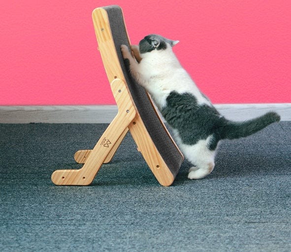 Chat utilisant un lit grattage vertical en papier ondulé sur un tapis, avec un mur rose en arrière-plan.